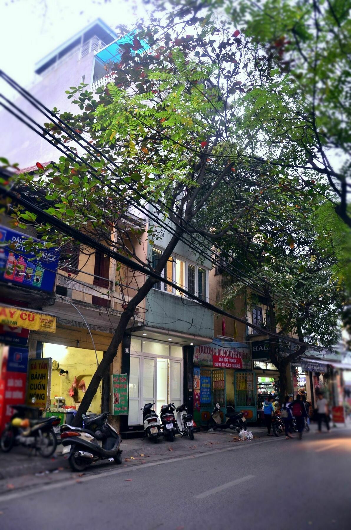 Bee House - Near Opera House, Hoan Kiem Appartement Hanoï